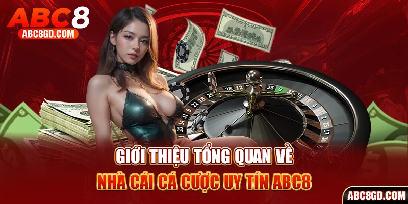 Mọi thông tin giới thiệu tổng quan về chúng tôi - ABC8