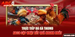 trực tiếp đá gà thomo