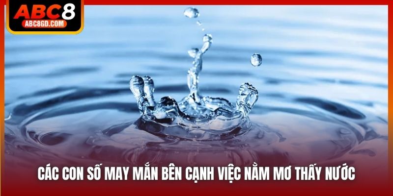 Các con số may mắn bên cạnh việc nằm mơ thấy nước