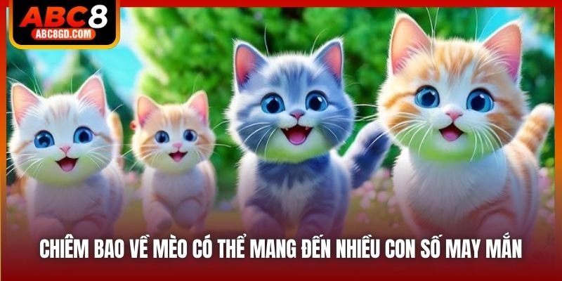 Chiêm bao về mèo có thể mang đến nhiều con số may mắn