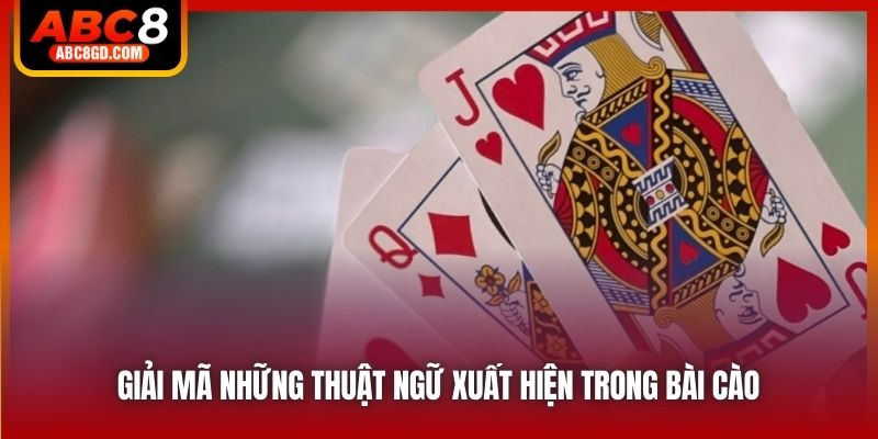 Giải mã những thuật ngữ xuất hiện trong bài cào