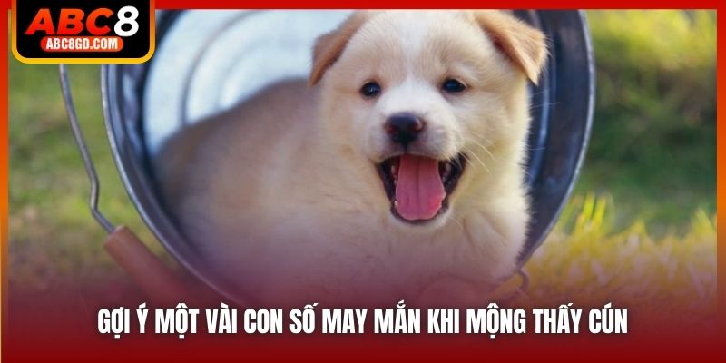 Gợi ý một vài con số may mắn khi mộng thấy cún