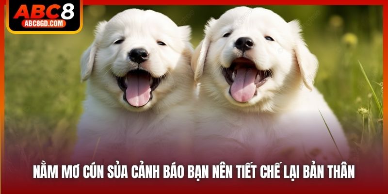 Nằm mơ cún sủa cảnh báo bạn nên tiết chế lại bản thân