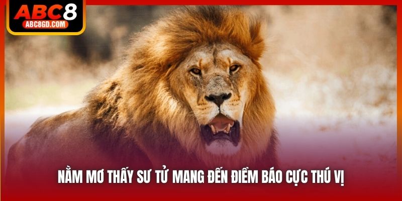 Nằm mơ thấy sư tử mang đến điềm báo cực thú vị