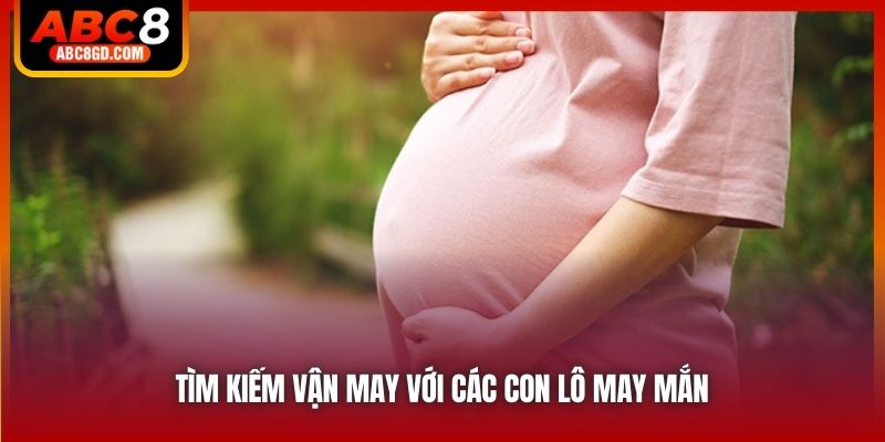 Tìm kiếm vận may với các con lô may mắn