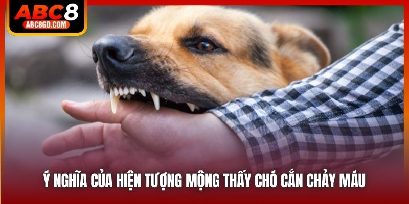 Ý nghĩa của hiện tượng mộng thấy chó cắn chảy máu